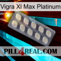 Vigra Xl Max Platinum 08